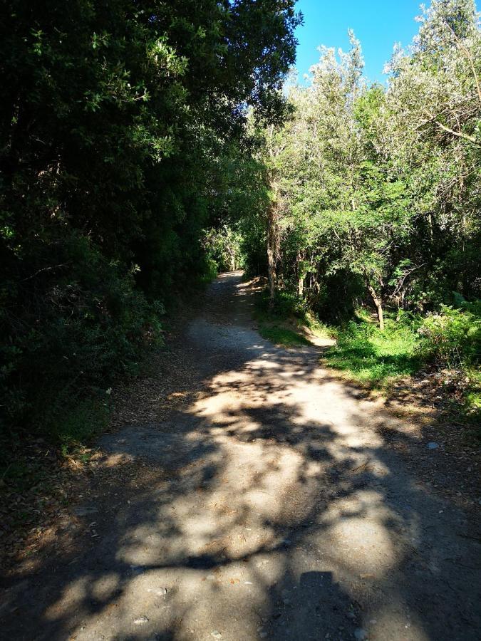 Maison De Village A 2 Km De La Mer Sisco Cap Corse 15 Kms Bastia מראה חיצוני תמונה