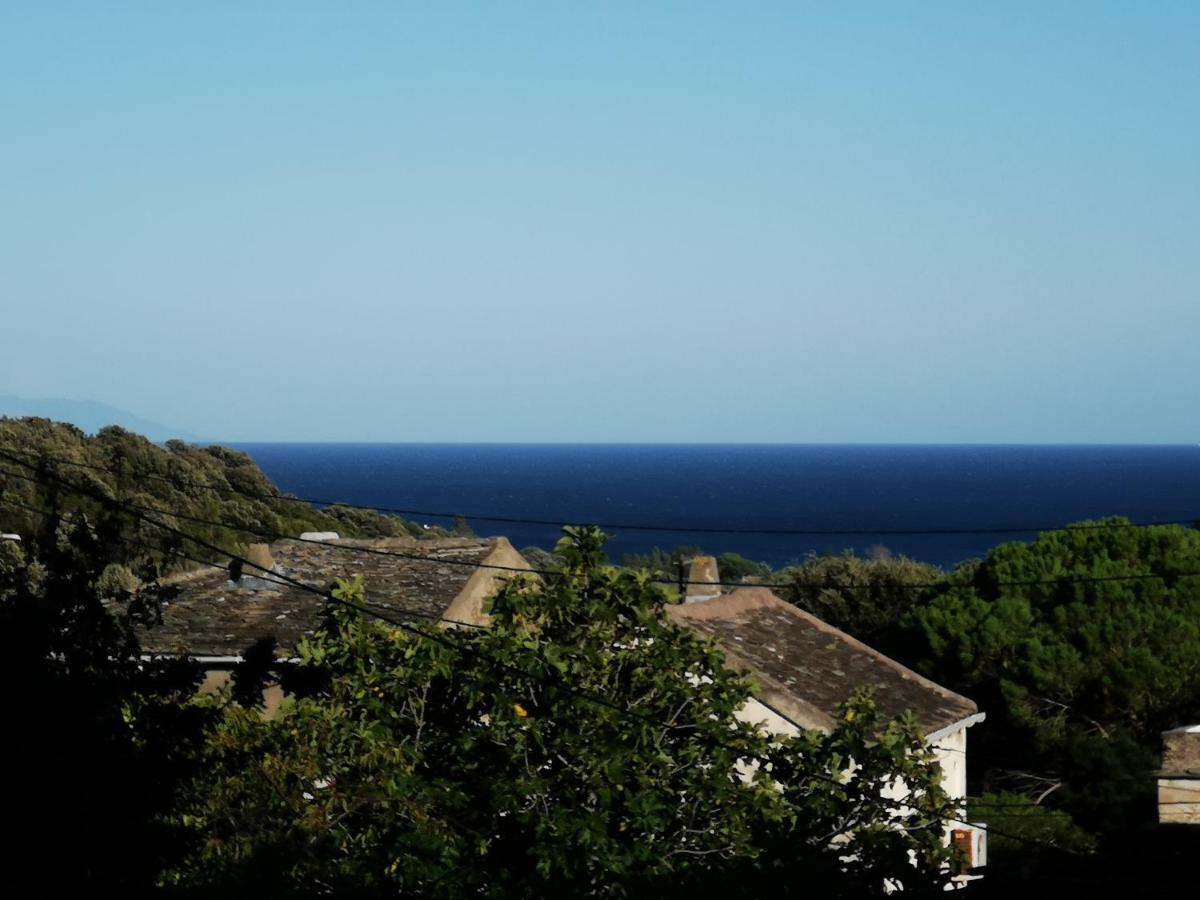 Maison De Village A 2 Km De La Mer Sisco Cap Corse 15 Kms Bastia מראה חיצוני תמונה