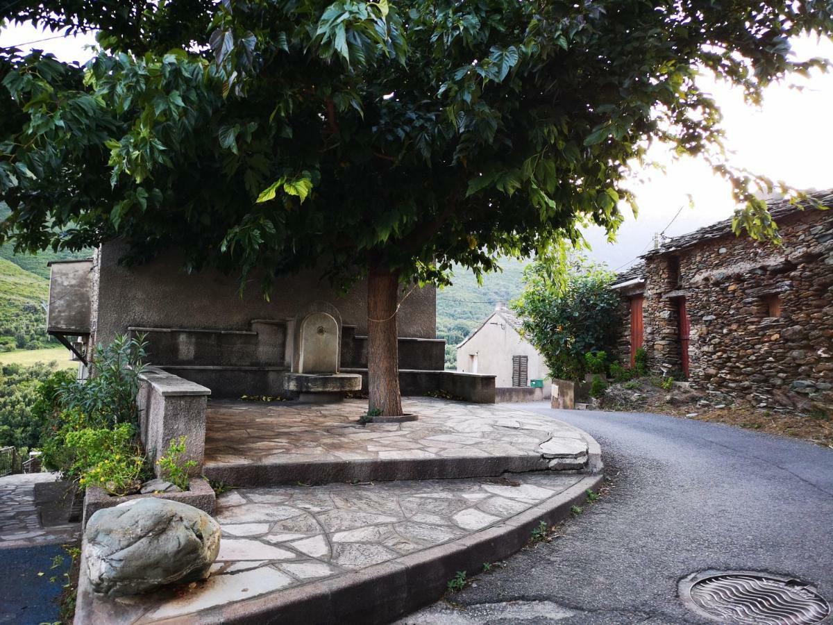 Maison De Village A 2 Km De La Mer Sisco Cap Corse 15 Kms Bastia מראה חיצוני תמונה